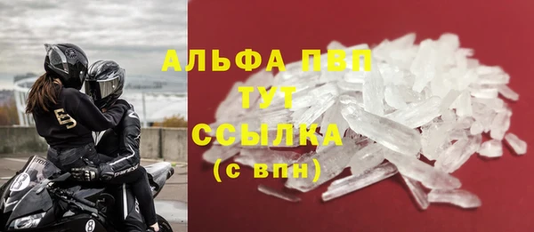 гидра Кинешма