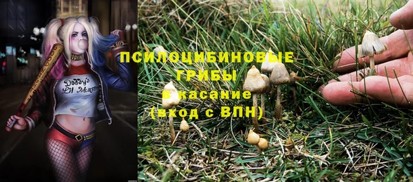 МДПВ Абаза