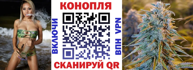 как найти наркотики  Агрыз  Каннабис SATIVA & INDICA 